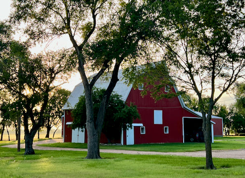 large red barn, trees in front and green grass
